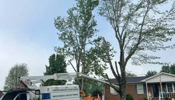 Tree Removal for Brooks Tree Service in Casar, NC