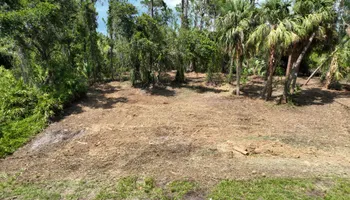 Forestry Mulching for SWF Land Clearing Solutions in Fort Myers, FL