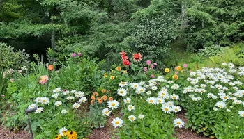 Mowing for Sustainable Property Services in Banner Elk, NC
