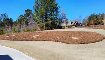Pinestraw for BAM Another Pinestraw Lot in Flowery Branch, GA