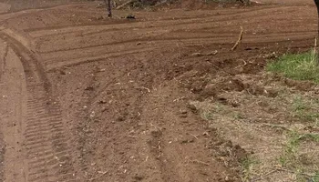 Forestry Mulching for Oro Verde in Devine, TX