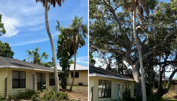 Tree Removal for Lemon Bay Tree Service  in Englewood, FL