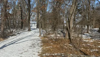 Land Clearing for Northern Summit Landworks in Little Falls, MN