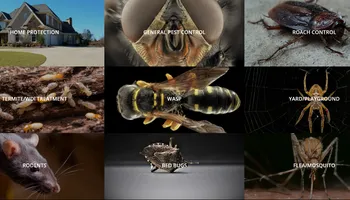 Commercial & Residential Pest Control for Arvo Pest Control in Sandy, UT