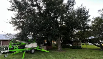 Tree Removal for Outdoor Solutions Of The Glades in Hendry County, FL