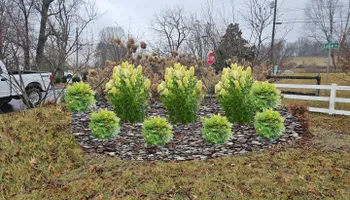 Landscape Design Consultation for Simply Natural Landscape in Abingdon, VA