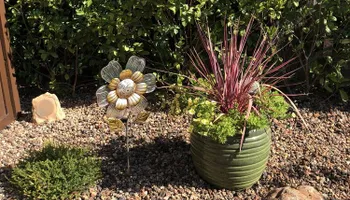 Landscape Design for New Vision Landscape in Folsom, CA