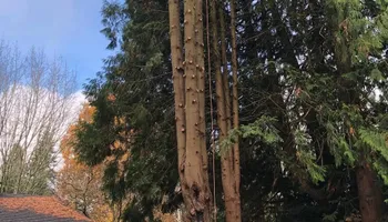 Mowing for Rs lawn Care llc in Beavertown, OR