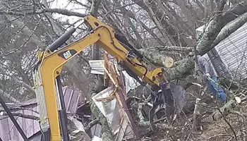 Tree Removal for Puckett's Tree Service in Decatur County, TN