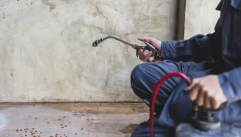 Residential Pest Control for All Pro Pest Control in Banner, KY