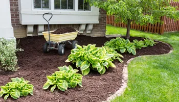 Fall and Spring Clean Up for RR Tree Service & Lawn Care LLC in Baraboo,  WI