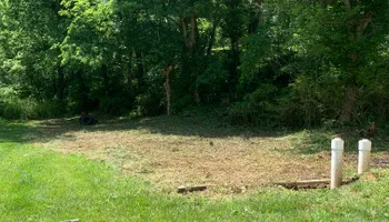 Tree Removal for VA Landgrowth LLC in Lexington, VA