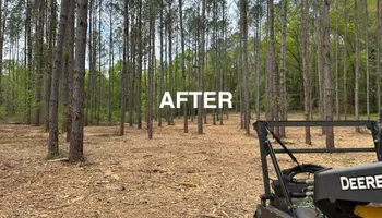 Land Clearing & Demolition for Central Alabama Site Works in Selma, AL