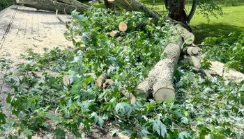 Tree Removal for Kadin’s Tree Service in North Vernon, IN