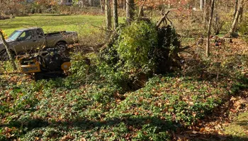 Stump Removal for Mad Dust Stump Grinding in Howard County, MD