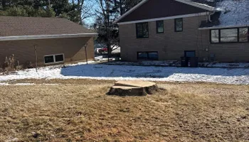 Tree Removal for Fransen's Tree Service  in Freeport, IL