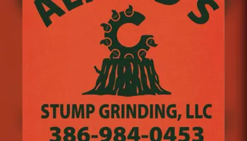 Tree Removal for Alford’s Tree and Stump Services LLC in Lake City, FL