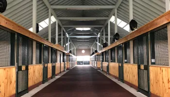 Plumbing Repairs for Bluegrass Drain Services  in Lexington, Kentucky