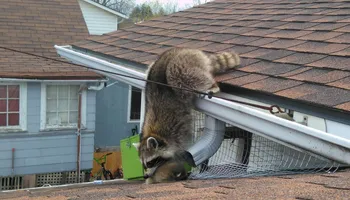 Residential Pest Control for All Pro Pest Control LLC in Banner, KY