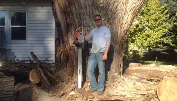 Stump Removal for Evergreen Tree Service in Grand Junction, CO