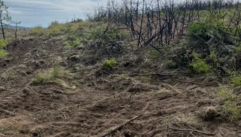 Land Clearing & Demolition for Seymour Excavating in Omak, WA