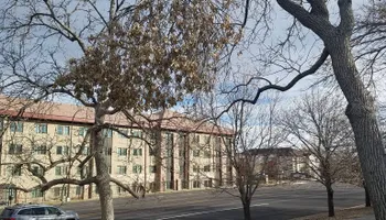 Tree Risk Consultation for Beetle Busters LLC in Centennial, CO