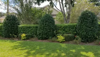 Lawn Maintenance for Marty's Lawn Service in Green Cove Springs, FL
