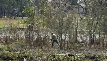 Land Clearing for Dirty South Land Management  in Robertsdale, AL