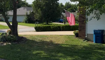 Tree Trimming for Wright Lawn Services in Ozark, MO