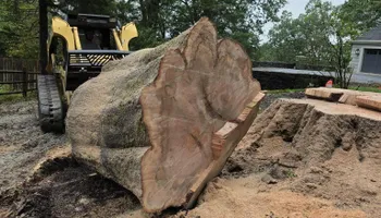 Tree Removal for Smith Tree Experts in Palmyra, VA
