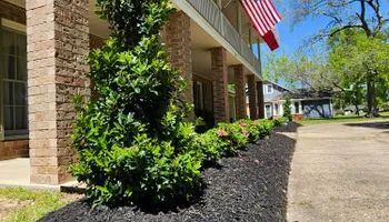 Mowing for Bruno's Professional Lawn's & Landscape in Beaumont, TX