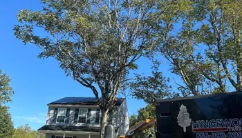 Tree Removal for Hingewood Tree Service in Salem, NJ