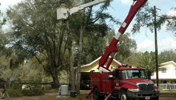 Tree Removal for Asbell's Tree & Land Services in Gilchrist County, FL