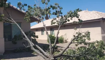 Tree Removal for A to Z Grounds Keeping in Sierra Vista, AZ