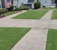 Soil Tests for Earth First Turf, LLC in Cherokee County, GA