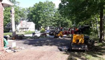 Tree Removal for Mario's Tree Service in Richmond, VA