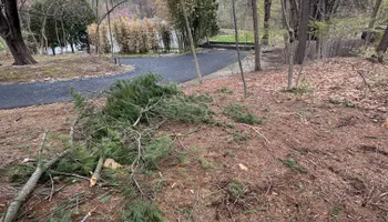 Mulch Installation for Landscape & Lawn Care Pros in Reading, PA