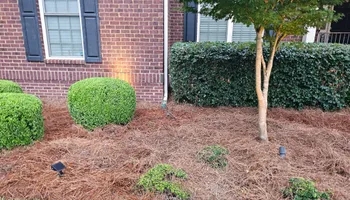 Mowing for 1 Man Does It Lawn Service in Blythewood, SC