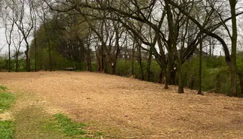Land Clearing & Demolition for Green Land Management in Mount Pleasant, TN