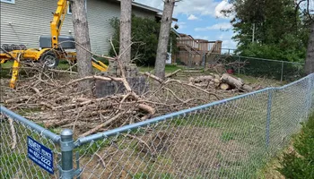 Tree Removal for K and Z Tree Care in Andover, MN