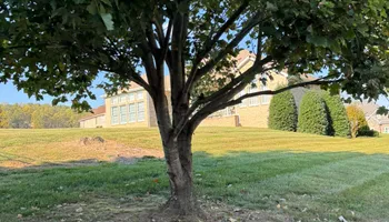 Lawn Maintenance for Legends Lawn Care in Johnson City, TN