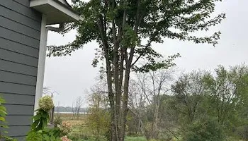 Tree Removal for Allstate Tree Service and Crane in Spring Lake Park, MN