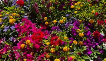 Commercial Maintenance/Installs for Urban Lawn & Landscape in Oklahoma City, OK