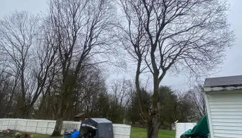 Tree Removal for Licensed to Cut in Athens, PA