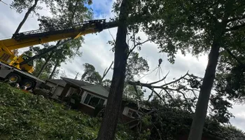 Tree Removal for DGD Outdoor Services LLC in Howell, MI
