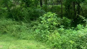 Tree Removal for VA Landgrowth LLC in Lexington, VA