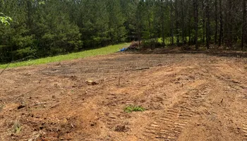 Land Clearing for A.P Land Management in Atlanta, Ga