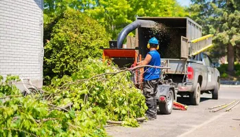 Tree Removal for Dale's Tree Service in Springdale, AR