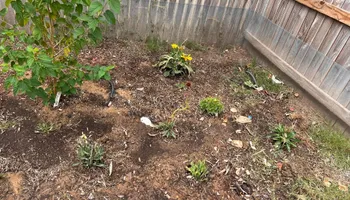 Mowing for Rustic Roots Landscaping in Austin, TX