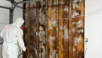 Water Mitigation for No Fear Restoration in Port Angeles, WA